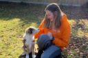 Alice Brown has launched Bond Furever, a new dog training course in Beccles and Bungay,