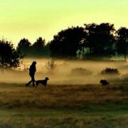 A dog walker stepping out for an evening walk on Outney Common with two labradors as the mist rises