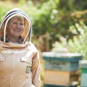 Stacy Cronly-Dillon, founder of Sunnyfields Apiaries, moved to Norfolk in 2021