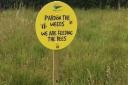 Signs for East Suffolk Council's Pardon the weeds campaign allowing parts of the district to 're-wild'