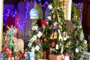 Halesworth Church Christmas tree exhibition.