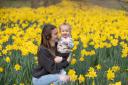 Stephanie and Ellie enjoying the daffodils