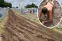 Latitude worker, Milo Davis, took it upon himself to slide on his belly in the mud