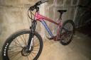 The bicycle pictured was stolen from a shed in Beccles.