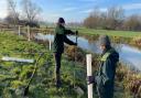 The River Waveney Trust working with the Environment Agency to plant trees and hedgerows along the banks of the Waveney at Mendham, near Harleston