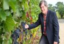 Winemaker John Hemmant with some of this summer\'s \'phenomenal\' grapes at Chet Valley Vineyard
