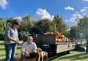 Apples and pumpkins galore at Westhall's annual festival