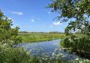 Worlingham Marshes by Steve Alyward