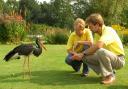 Sarah Potterton and her husband Ben Potterton pictured with a Black Stork in Dickleburgh site in 2008