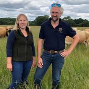 Rebecca and Stuart Mayhew with the Jersey dairy cows at Old Hall Farm in Woodton