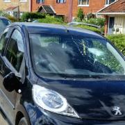Cars with smashed windscreens after disturbance in Loddon