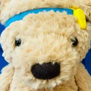 Does your teddy bear need a hearing aid?