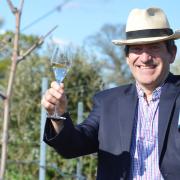Norfolk winemaker John Hemmant among the vines at the Chet and Waveney Valley Vineyard in Bergh Apton. Picture: Chris Hill