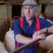Metfield pig farmer Peter Mortimer is culling his herd amid mounting financial pressures and a workforce crisis