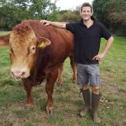 Will Hemmant, of Woodhouse Farms in Sisland, with his new Limousin bull, bought for a record £6,700 at Norwich Livestock Market