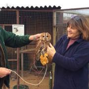 Andrea Gamby-Boulger, founder of Wetnose Animal Aid, with a trustee from Fritton Owl Sanctuary. Picture: Wetnose