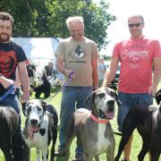 Suffolk Dog Day will be returning following the pandemic