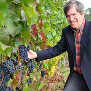 Winemaker John Hemmant with some of this summer\'s \'phenomenal\' grapes at Chet Valley Vineyard