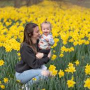 Stephanie and Ellie enjoying the daffodils