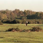 A dog walker enjoying a stroll at Beccles Common