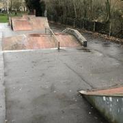 Police are appealing for information after a ramp was sprayed with racist graffiti at Halesworth Skatepark