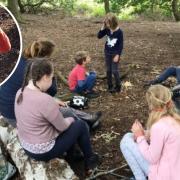 Students have lots of fun immersed in the outdoor world, learning independence through crafts such as den-building, tree-climbing, rope-swinging, bug-hunting, cooking and exploring tool use, to allow for creativity using natural materials.