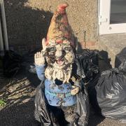A gnome without a home - the garden ornament was found during a litter pick in Rumburgh.