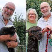 Neil Ripley with Bear the skunk and Neil and Pat Ridley with the alpacas
