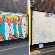 Vinnie Nylon's street art has been painted over on Lower and Upper Olland Street