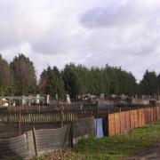 Common Lane allotments at Beccles