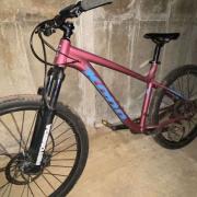 The bicycle pictured was stolen from a shed in Beccles.