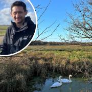 National Lottery Heritage Fund supports Suffolk Wildlife Trust with £2million towards new nature reserve: Worlingham Marshes